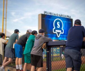 Seattle Mariners Spring Training Home Field - Outfield Fans - Pop Flies - Peoria Arizona